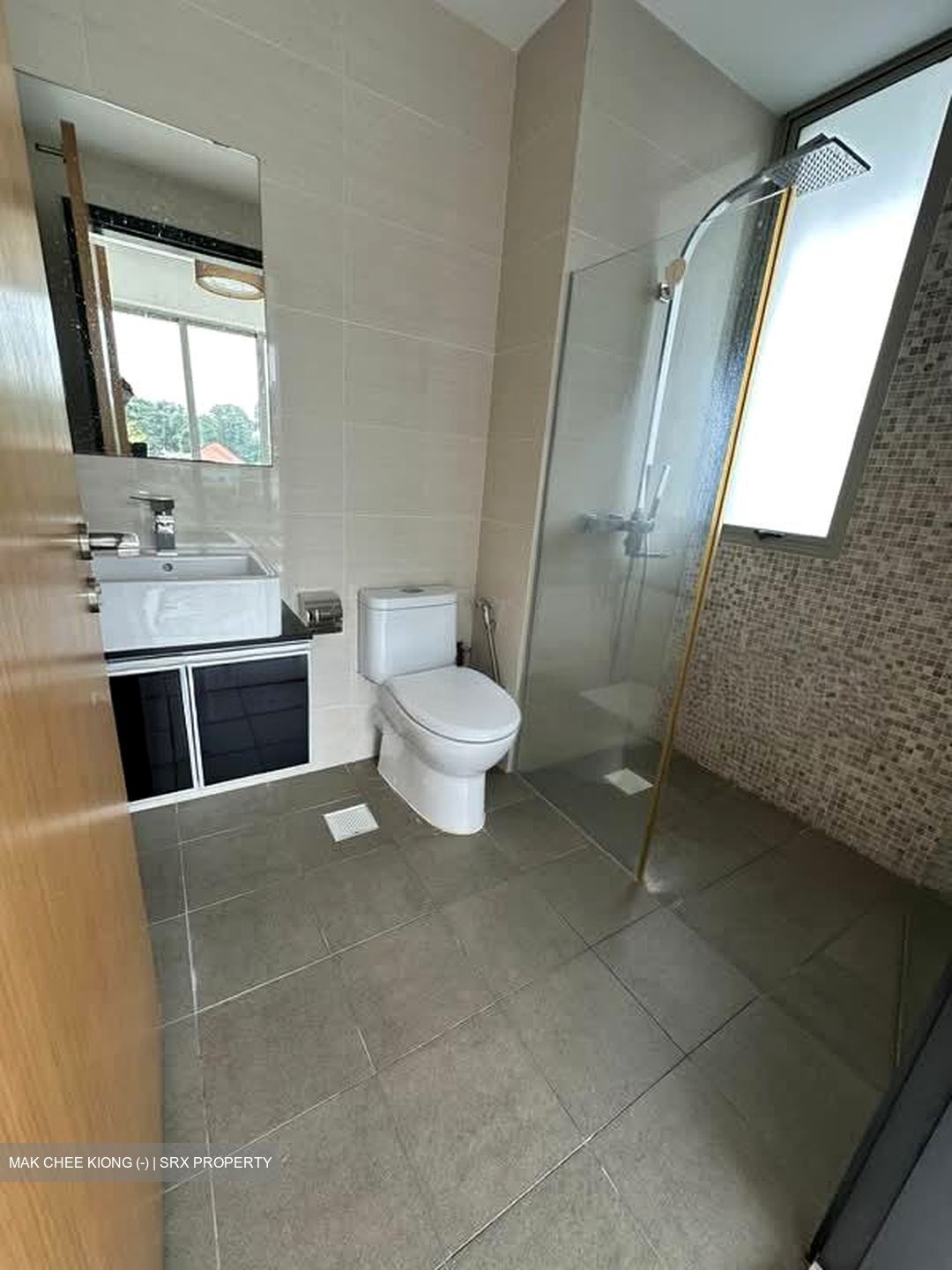 Loft @ Stevens (D10), Apartment #559136351